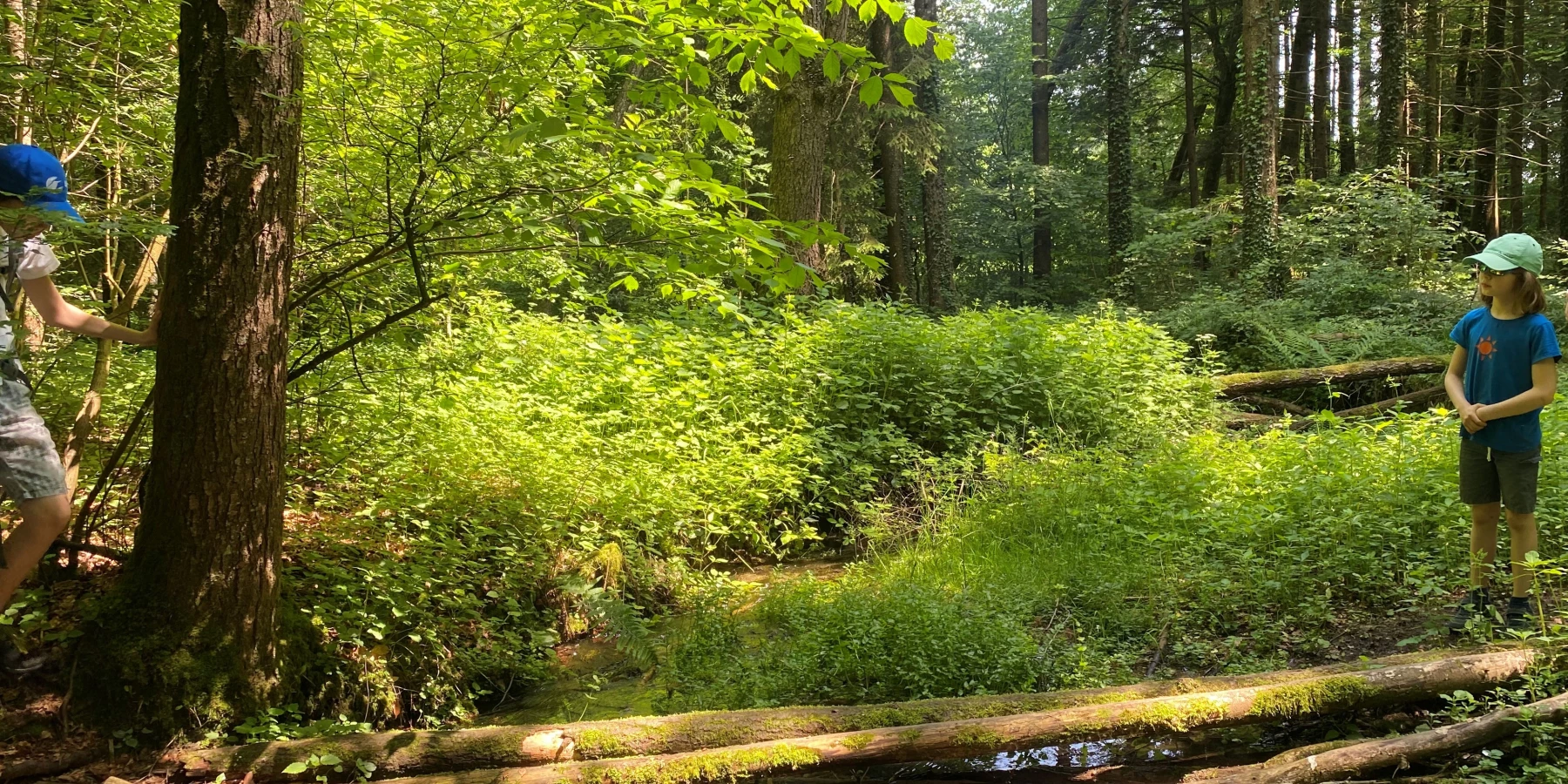 Zwei Kinder stehen jeweils seitlich von Baumstämmen, die mitten im Wald über einen Bach liegen