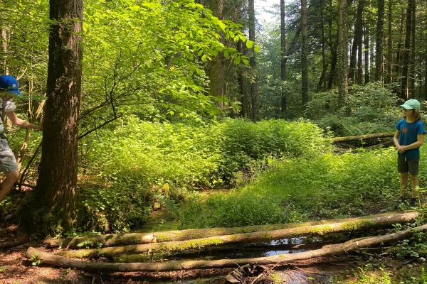 Zwei Kinder stehen jeweils seitlich von Baumstämmen, die mitten im Wald über einen Bach liegen