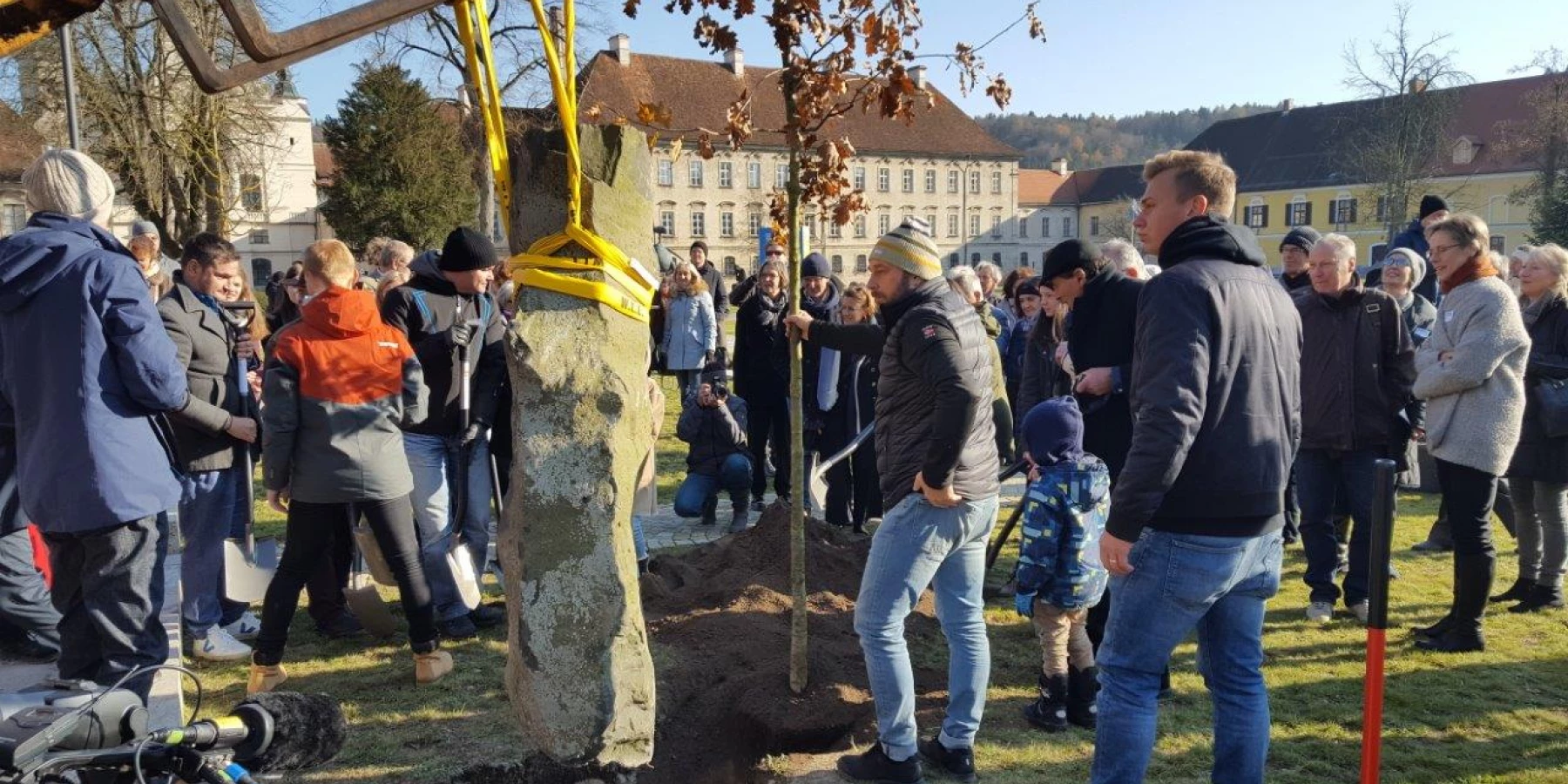 Viele Menschen stehen um eine Basaltstele, die mit Sicherheitsgurten befestigt ist, und einer jungen Eiche