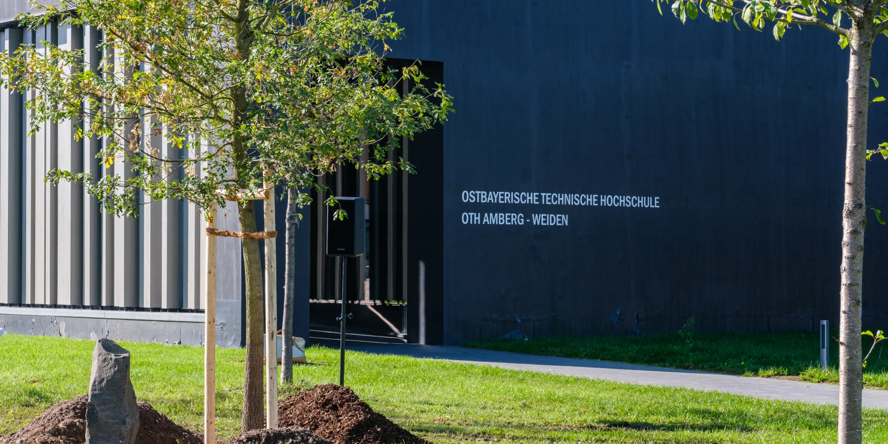 Eine junge Eiche und Basaltstele stehen vor dem Gebäude der OTH Amberg Weiden