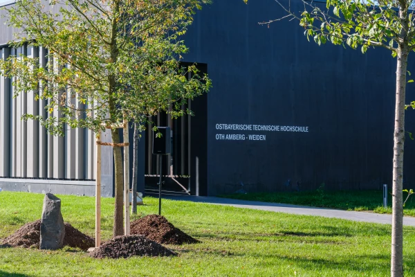 Eine junge Eiche und Basaltstele stehen vor dem Gebäude der OTH Amberg Weiden
