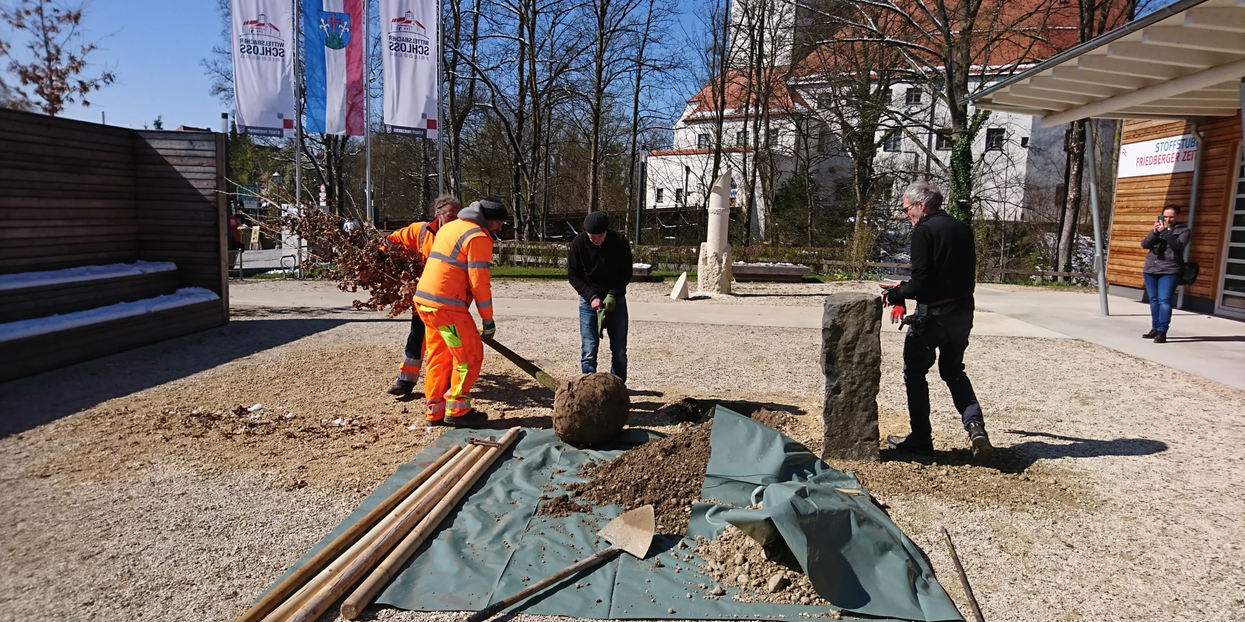 Die Eiche wird von Männern zu einer Mulde neben einer Stele gebracht