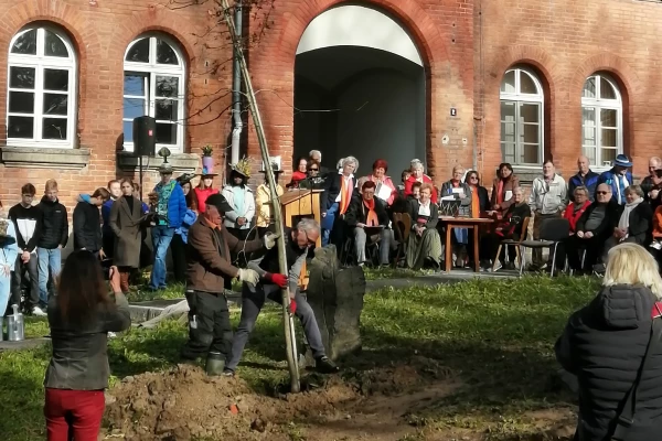 Vor einem roten Backsteinhaus wird eine Eiche gepflanzt, viele Menschen schauen zu