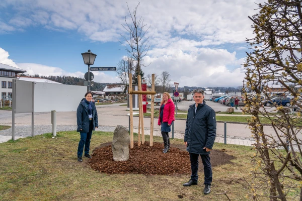 Drei Erwachsene stehen um eine junge Eiche mit einer Basaltstele daneben