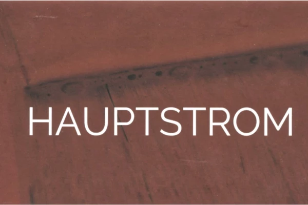 Rostbraune Grafik zum Projekt HAUPTSTROM III