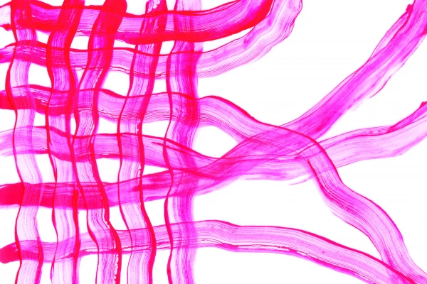 Grafik von roten, verwebten Gewebestreifen