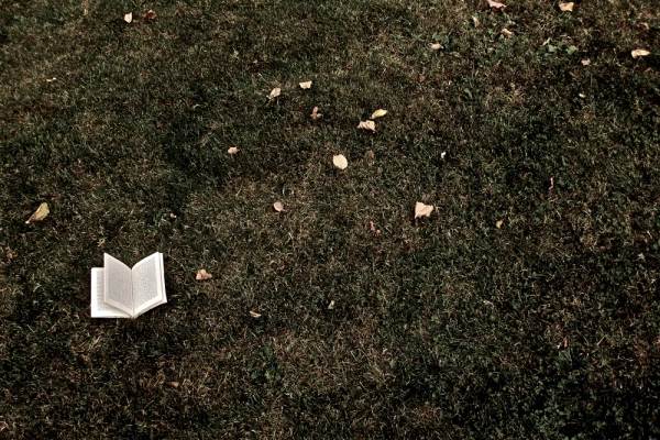 Foto von einem offenen Buch auf einer Wiese