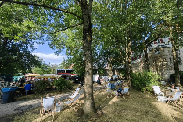 Liegestühle inmitten von Bäumen und Wiese