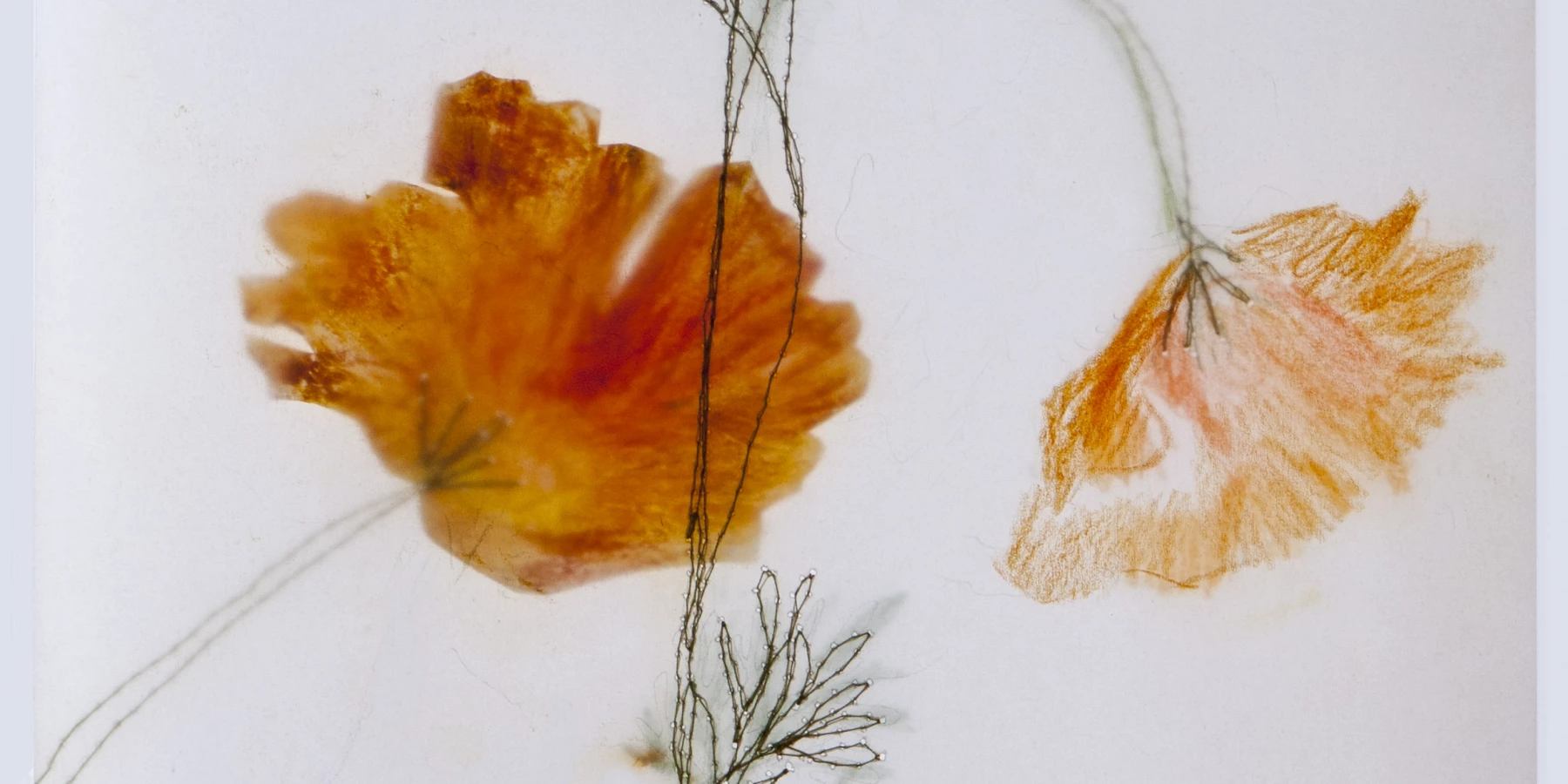Orangener Mohn mit verschiedenen Techniken, z.B. Stickerei, ausgeführt