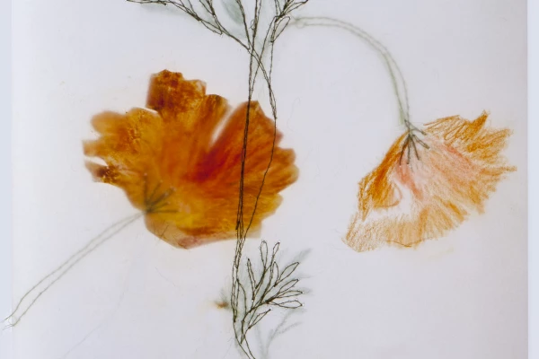 Orangener Mohn mit verschiedenen Techniken, z.B. Stickerei, ausgeführt