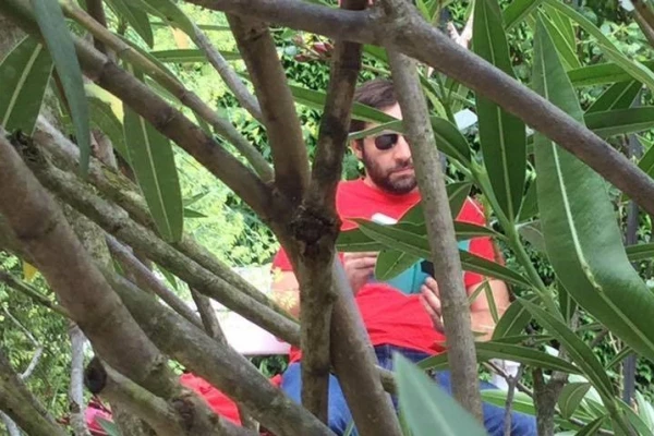 Ein Mann mit Sonnenbrille ist sichtbar durch Gestrüpp hindurch