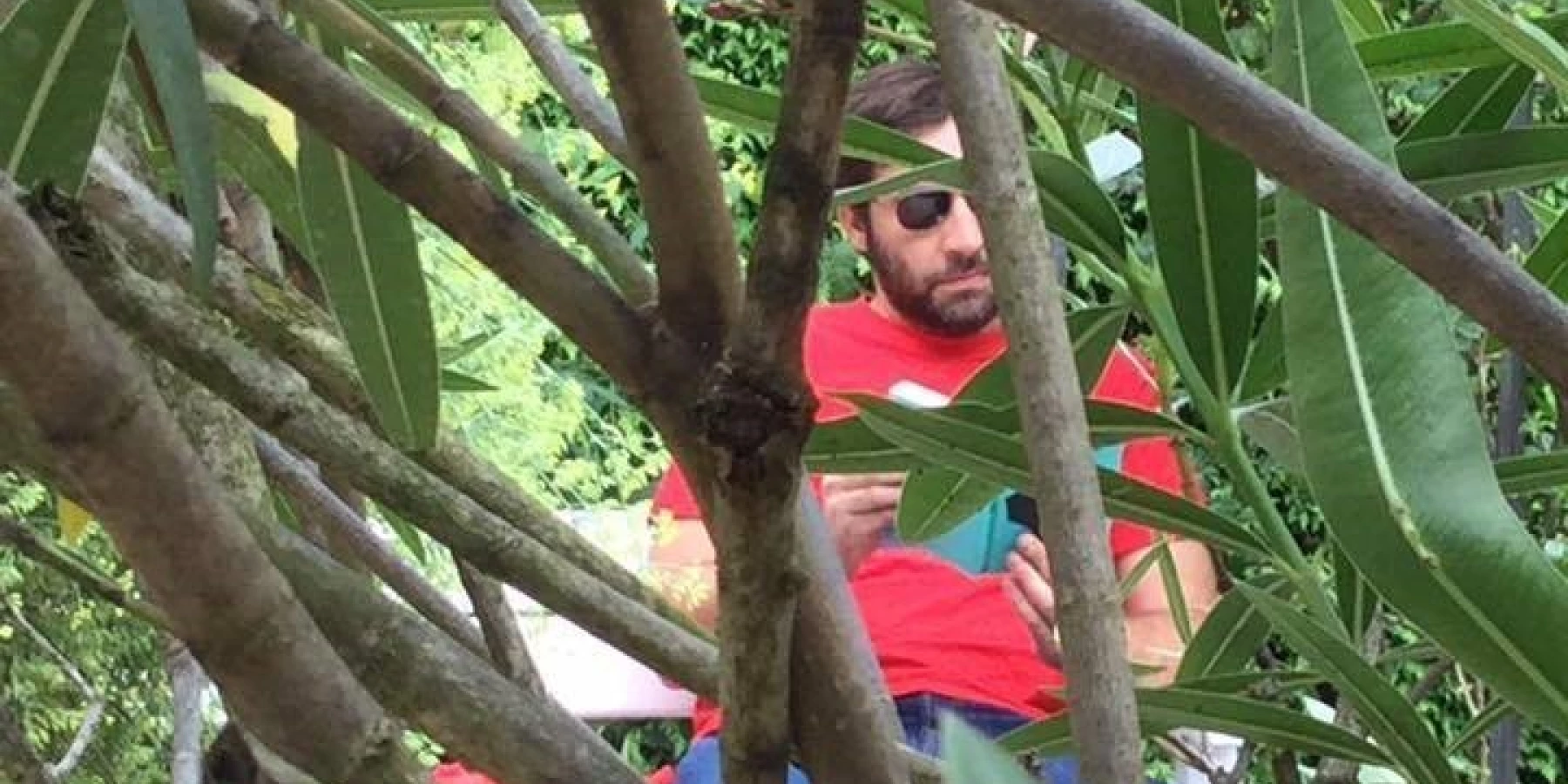 Ein Mann mit Sonnenbrille ist sichtbar durch Gestrüpp hindurch