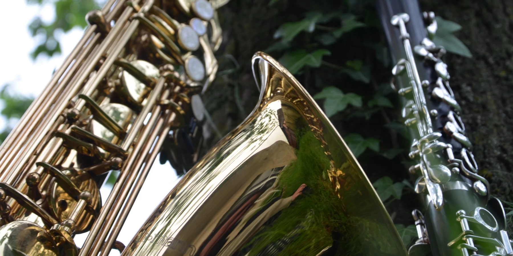 Ein Saxophon und eine Oboe von unten aufgenommen, im Hintergrund ein Baum