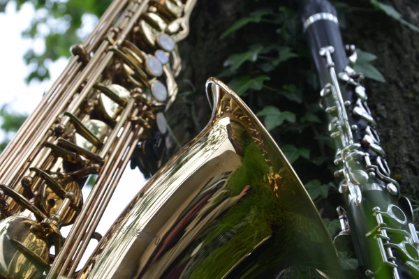 Ein Saxophon und eine Oboe von unten aufgenommen, im Hintergrund ein Baum