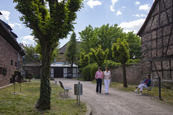 Menschen laufen im Westentaschenpark in Marktheidenfeld, ein Fachwerkhaus ist zu sehen