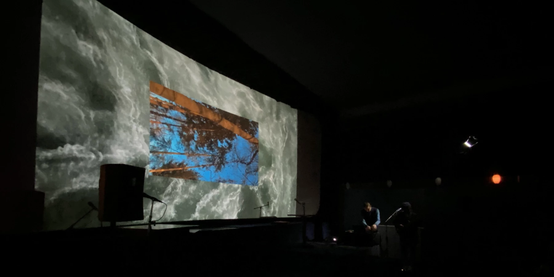 Leinwand mit Video, auf dem Bäume zu sehen sind. Daneben: Musiker*innen